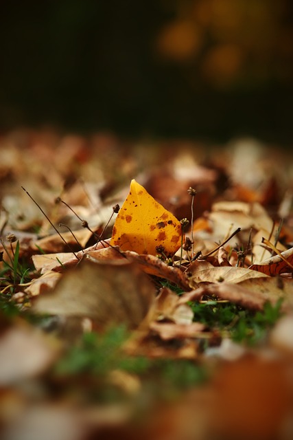 的球員而言 的球員而言