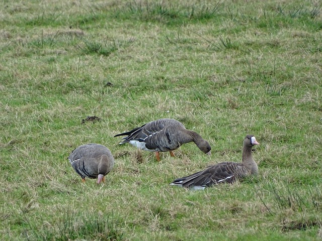 克里斯蒂贡 克里斯蒂贡
