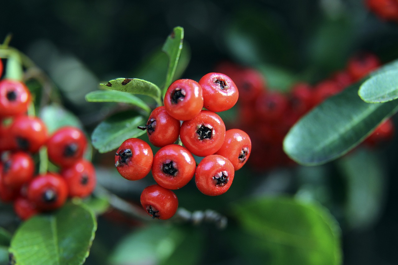 这种现象的 这种现象的