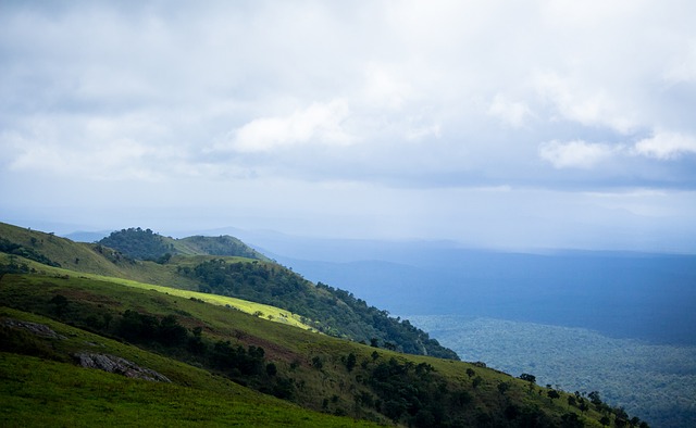 的伤病保障 的伤病保障