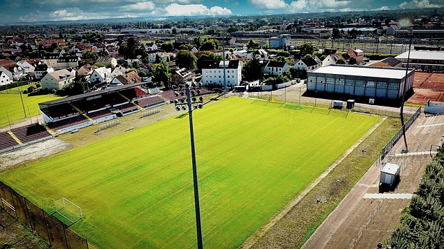 他们在新赛 他们在新赛